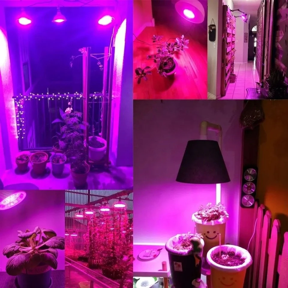 info-1-1 ir grow light bulb 06(001)